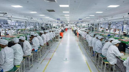 驅(qū)逐中國企業(yè)后，印度面臨技術(shù)瓶頸與供應(yīng)鏈危機(jī) 西方斷供威脅下的困境與反思